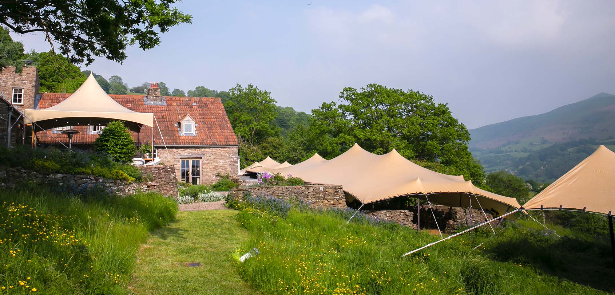 Beige Stretch tents